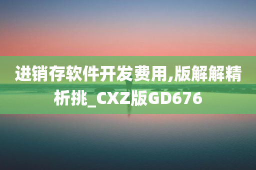 进销存软件开发费用,版解解精析挑_CXZ版GD676