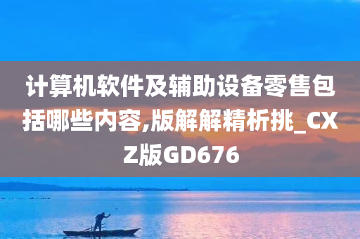 计算机软件及辅助设备零售包括哪些内容,版解解精析挑_CXZ版GD676