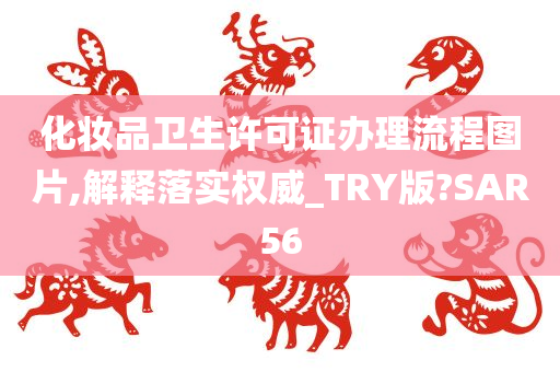 化妆品卫生许可证办理流程图片,解释落实权威_TRY版?SAR56