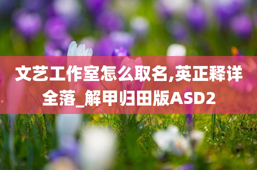 文艺工作室怎么取名,英正释详全落_解甲归田版ASD2