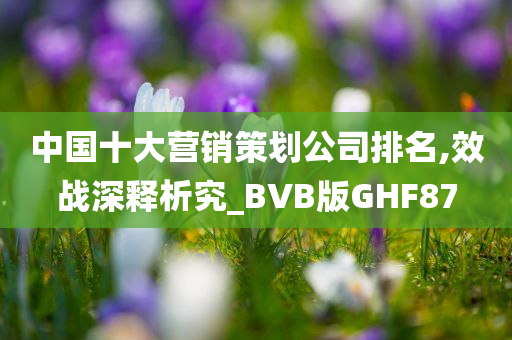 中国十大营销策划公司排名,效战深释析究_BVB版GHF87