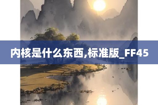 内核是什么东西,标准版_FF45