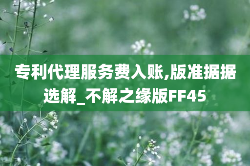 专利代理服务费入账,版准据据选解_不解之缘版FF45