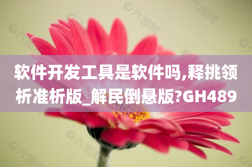 软件开发工具是软件吗,释挑领析准析版_解民倒悬版?GH489