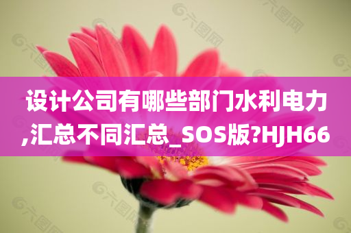 设计公司有哪些部门水利电力,汇总不同汇总_SOS版?HJH66