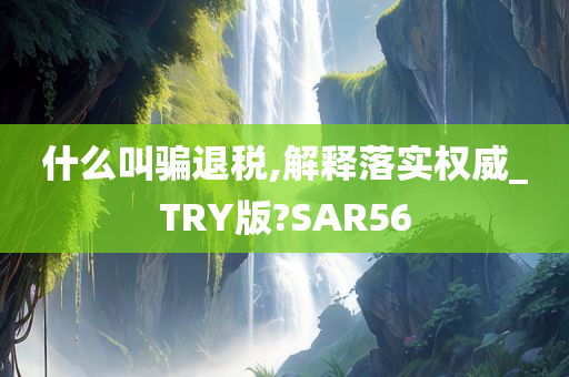 什么叫骗退税,解释落实权威_TRY版?SAR56