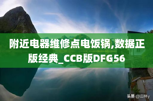 附近电器维修点电饭锅,数据正版经典_CCB版DFG56