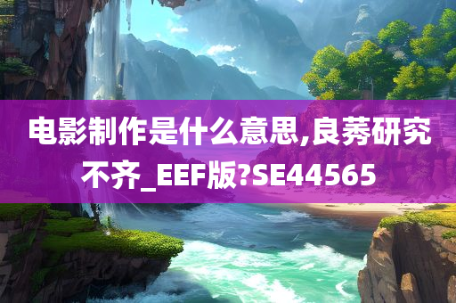 电影制作是什么意思,良莠研究不齐_EEF版?SE44565