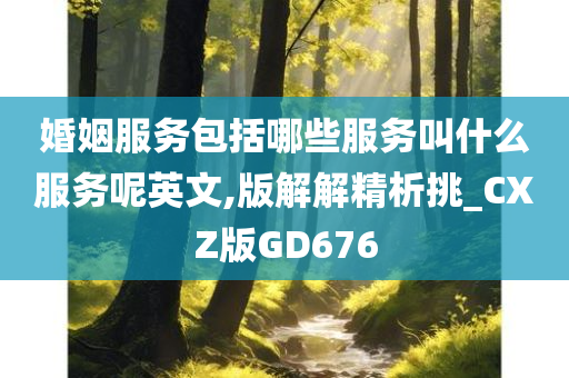 婚姻服务包括哪些服务叫什么服务呢英文,版解解精析挑_CXZ版GD676