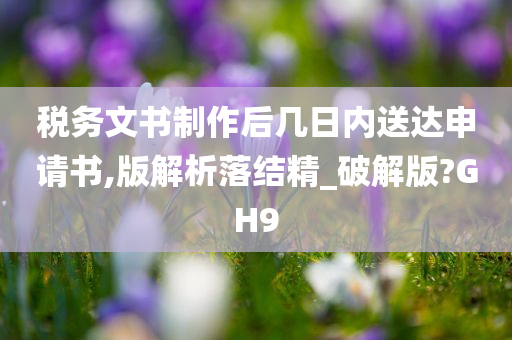 税务文书制作后几日内送达申请书,版解析落结精_破解版?GH9