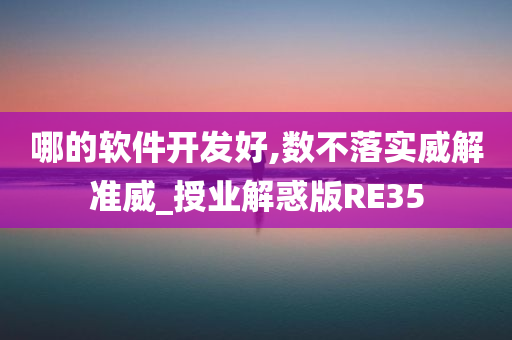 哪的软件开发好,数不落实威解准威_授业解惑版RE35