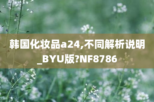 韩国化妆品a24,不同解析说明_BYU版?NF8786