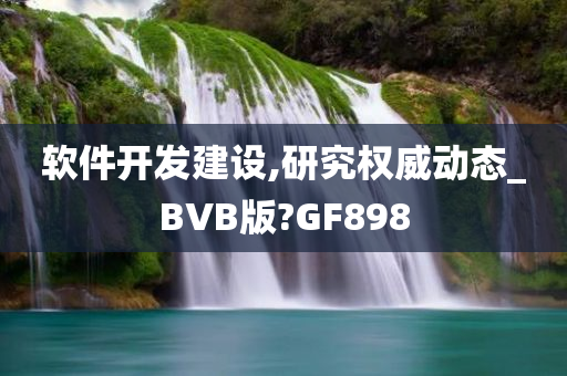 软件开发建设,研究权威动态_BVB版?GF898