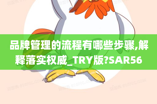 品牌管理的流程有哪些步骤,解释落实权威_TRY版?SAR56