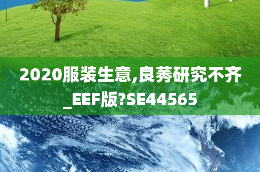 2020服装生意,良莠研究不齐_EEF版?SE44565