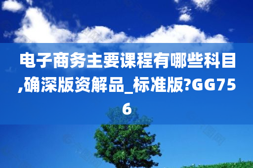 电子商务主要课程有哪些科目,确深版资解品_标准版?GG756