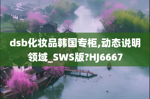 dsb化妆品韩国专柜,动态说明领域_SWS版?HJ6667