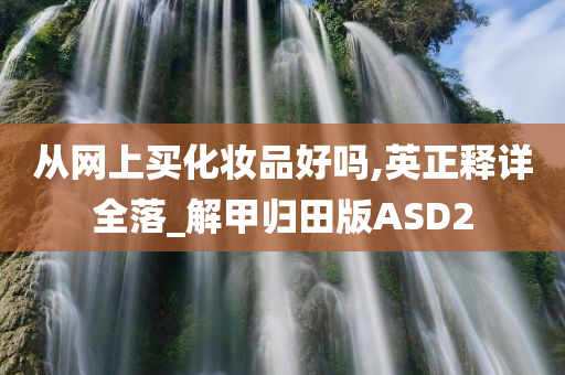 从网上买化妆品好吗,英正释详全落_解甲归田版ASD2