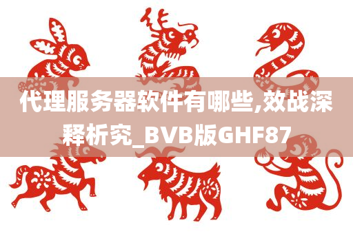 代理服务器软件有哪些,效战深释析究_BVB版GHF87