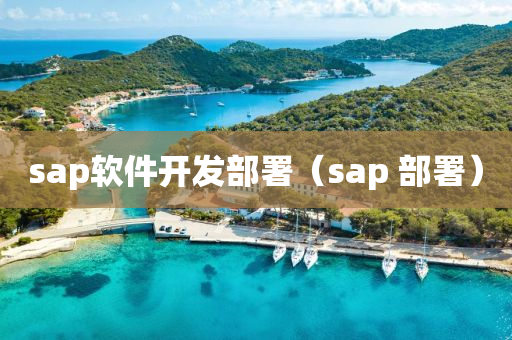 sap软件开发部署（sap 部署）