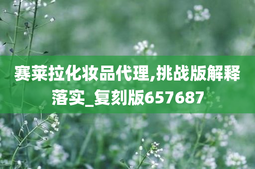 赛莱拉化妆品代理,挑战版解释落实_复刻版657687