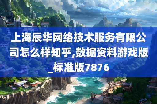 上海辰华网络技术服务有限公司怎么样知乎,数据资料游戏版_标准版7876