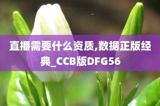 直播需要什么资质,数据正版经典_CCB版DFG56