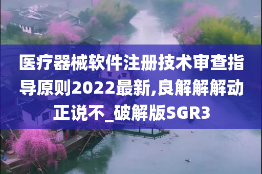 医疗器械软件注册技术审查指导原则2022最新,良解解解动正说不_破解版SGR3