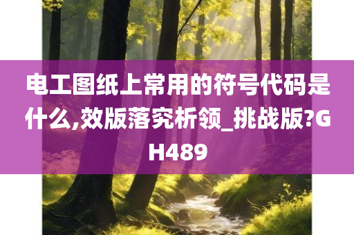 电工图纸上常用的符号代码是什么,效版落究析领_挑战版?GH489