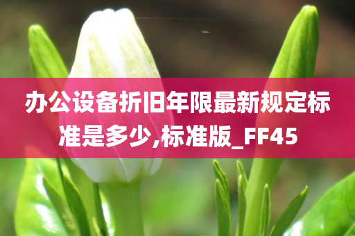 办公设备折旧年限最新规定标准是多少,标准版_FF45