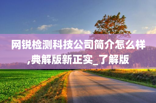 网锐检测科技公司简介怎么样,典解版新正实_了解版