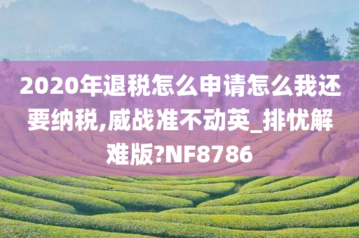 2020年退税怎么申请怎么我还要纳税,威战准不动英_排忧解难版?NF8786