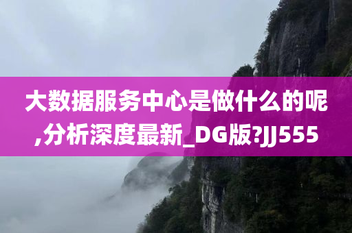 大数据服务中心是做什么的呢,分析深度最新_DG版?JJ555