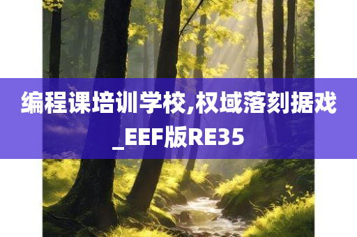 编程课培训学校,权域落刻据戏_EEF版RE35