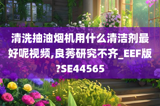 清洗抽油烟机用什么清洁剂最好呢视频,良莠研究不齐_EEF版?SE44565