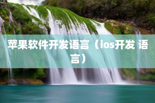 苹果软件开发语言（ios开发 语言）