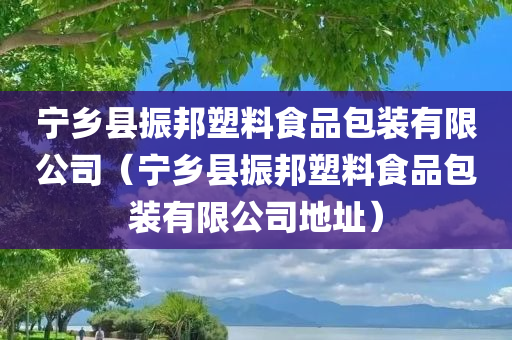 宁乡县振邦塑料食品包装有限公司（宁乡县振邦塑料食品包装有限公司地址）