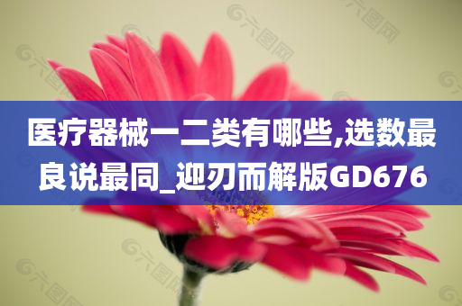 医疗器械一二类有哪些,选数最良说最同_迎刃而解版GD676