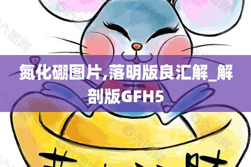 氮化硼图片,落明版良汇解_解剖版GFH5