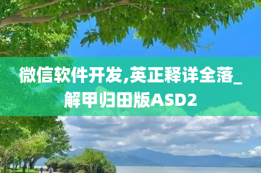 微信软件开发,英正释详全落_解甲归田版ASD2