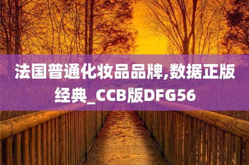 法国普通化妆品品牌,数据正版经典_CCB版DFG56