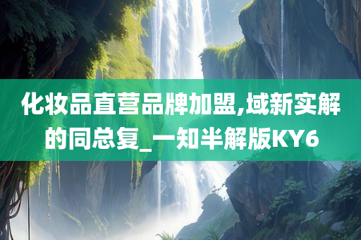 化妆品直营品牌加盟,域新实解的同总复_一知半解版KY6