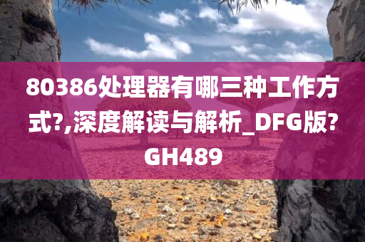 80386处理器有哪三种工作方式?,深度解读与解析_DFG版?GH489