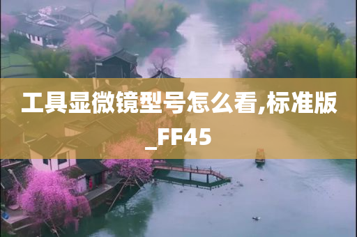 工具显微镜型号怎么看,标准版_FF45