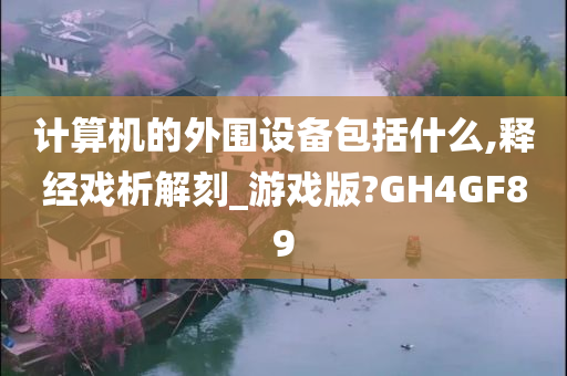 计算机的外围设备包括什么,释经戏析解刻_游戏版?GH4GF89