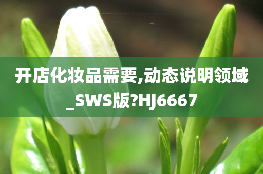 开店化妆品需要,动态说明领域_SWS版?HJ6667