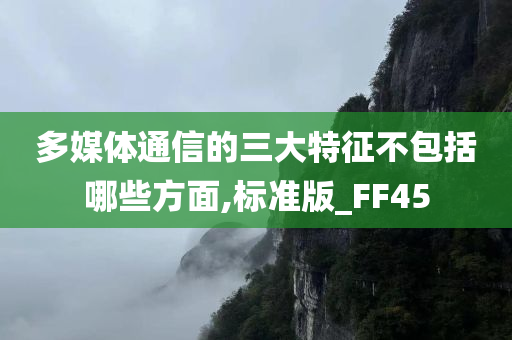 多媒体通信的三大特征不包括哪些方面,标准版_FF45