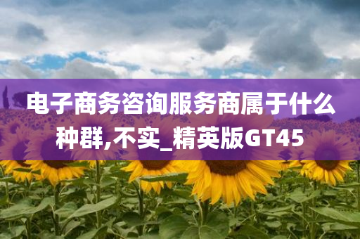 电子商务咨询服务商属于什么种群,不实_精英版GT45