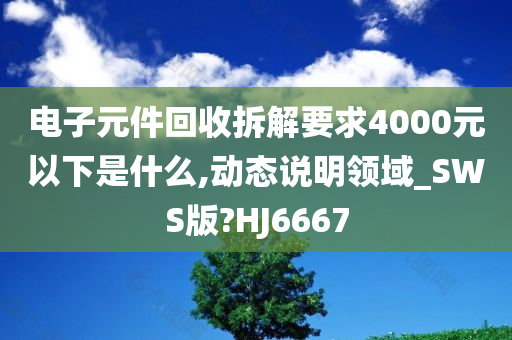 电子元件回收拆解要求4000元以下是什么,动态说明领域_SWS版?HJ6667