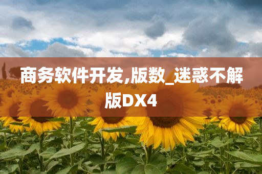 商务软件开发,版数_迷惑不解版DX4